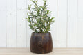 Ombre Vintage Textured Naga Rice Bowl