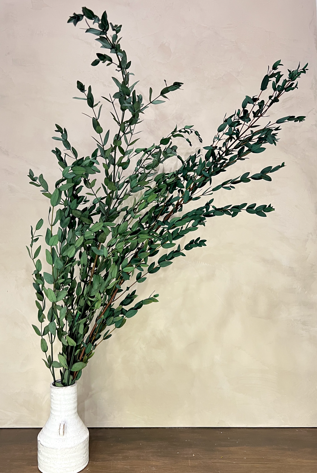 Preserved Parvifolia Eucalyptus