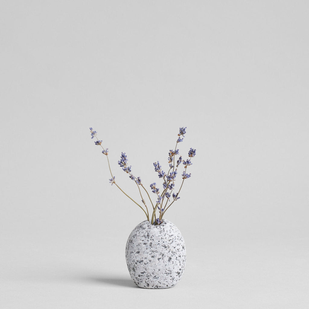Dried Lavender