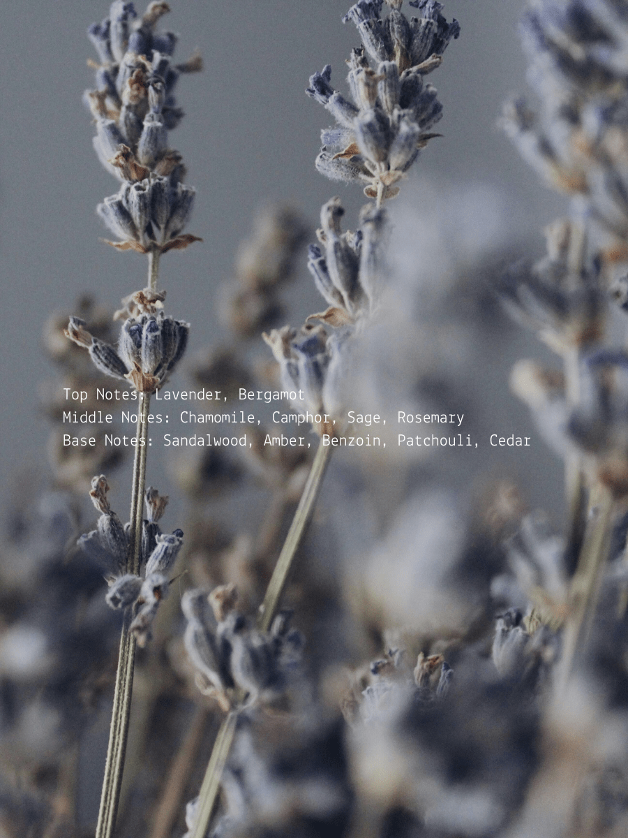 Cedar Sage + Lavender Smudge Wellness Candle