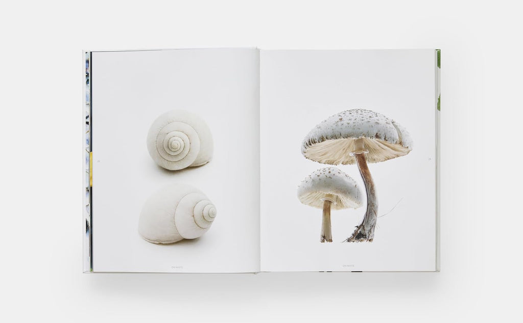 Still: The Art of Noticing